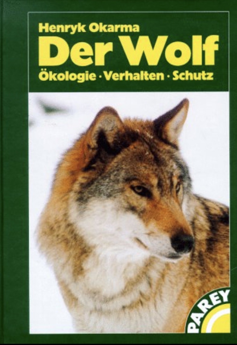 Der Wolf Okarma