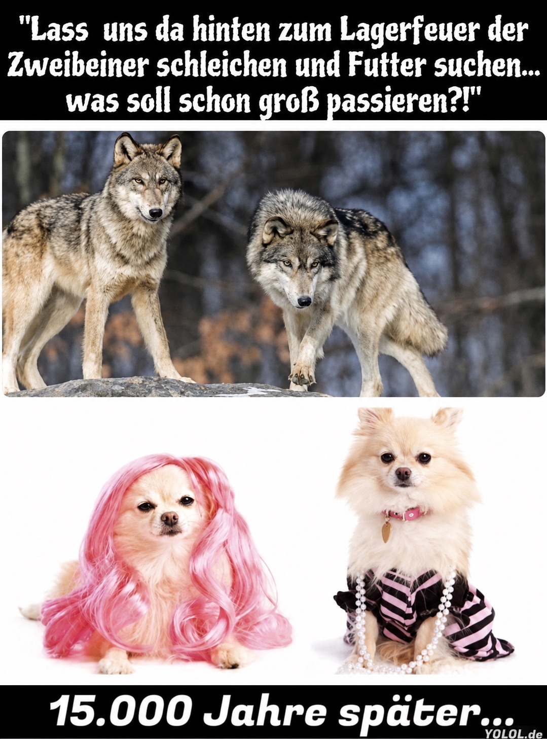 Was soll schon passieren