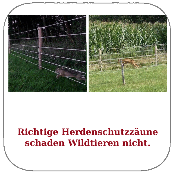 kachel wilddurchlaessig
