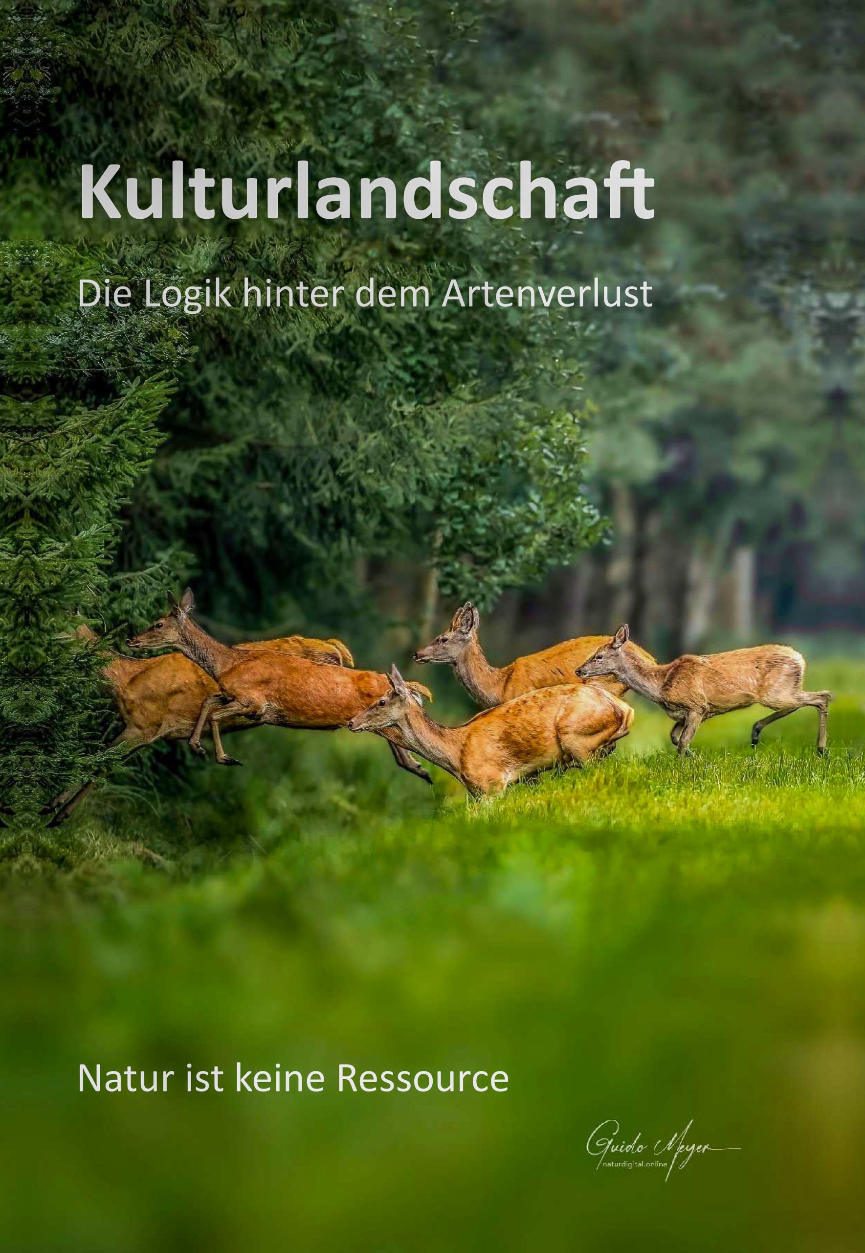 kulturlandschaft guido meyer