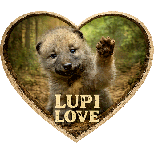 lupilove